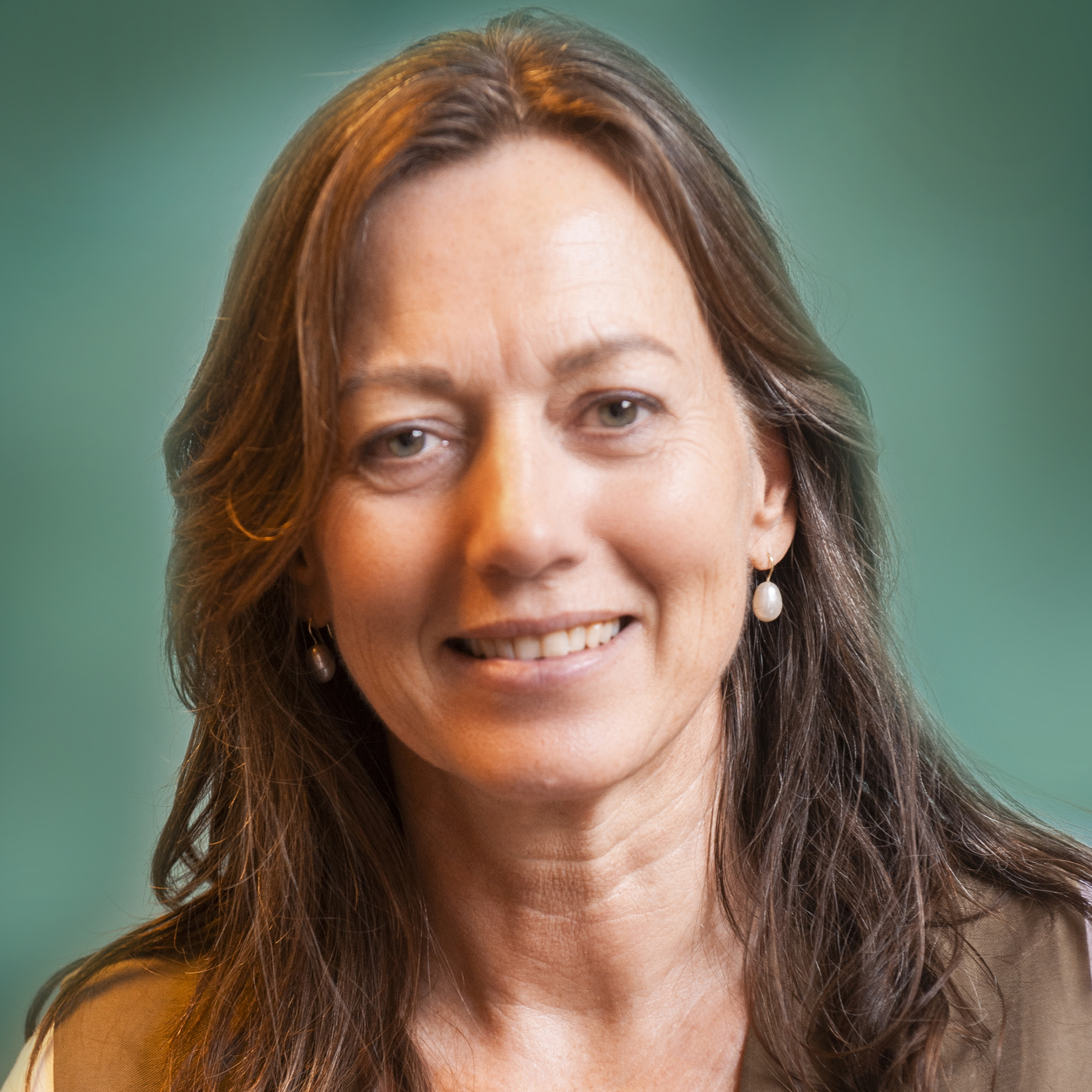 Emske de Krijger